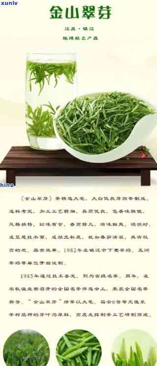 金山翠芽属于什么茶，探秘茶叶世界：金山翠芽的分类归属