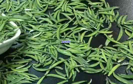 金山翠芽属于什么茶，探秘茶叶世界：金山翠芽的分类归属