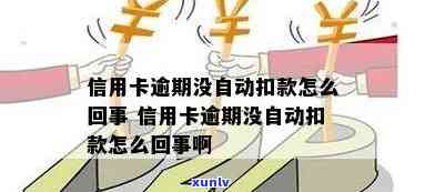 信用卡逾期没自动扣款-信用卡逾期没自动扣款怎么办