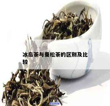 曼松茶和冰岛的区别-曼松茶和冰岛的区别是什么