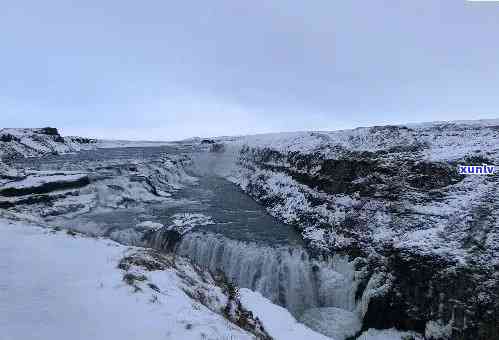 大雪山冰岛区别：口感甜度比较、产地关系解析、价格差异全知道