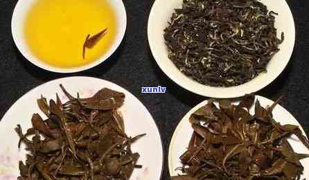 冰岛茶是白茶吗，解惑：冰岛茶究竟是不是白茶？