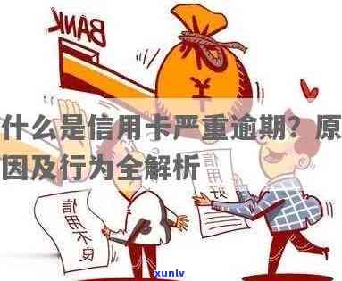 信用卡逾期是什么行为-信用卡逾期是什么行为类型