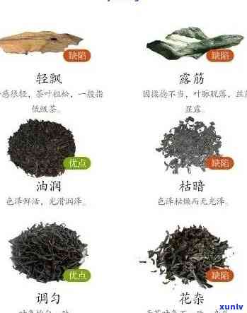 成团的茶：它属于哪种茶叶类型？