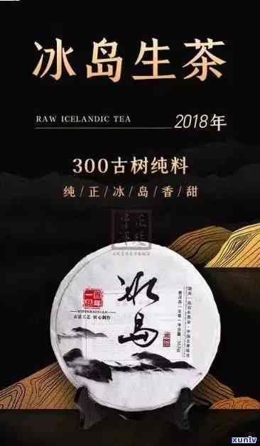 冰岛古树茶什么意思-冰岛古树茶是什么意思