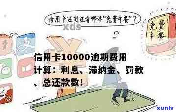 1万信用卡逾期半年要多少费用？影响及解决 *** 