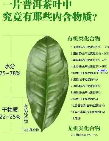 牛气冲天是什么茶叶品种，揭秘茶叶新贵：牛气冲天，你了解这种茶叶品种吗？