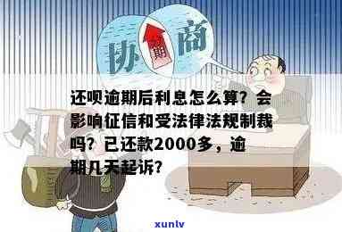 逾期还款后的罚息及复利能否得到法律支持，探讨逾期还款后罚息与复利的法律支持问题