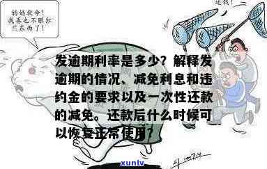 逾期还款后的罚息及复利能否得到法律支持，探讨逾期还款后罚息与复利的法律支持问题