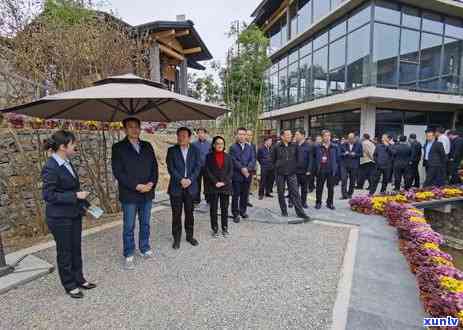 山东临沂产茶叶吗，临沂是否产茶？探索山东的茶叶文化