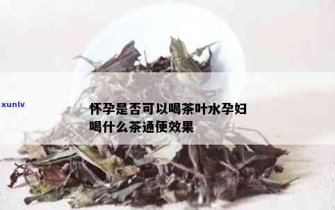 探寻正中老班章普洱茶的价格：一公斤价值几何？