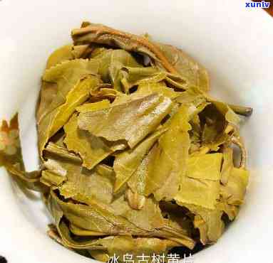 冰岛大黄叶茶，探索神秘的冰岛大黄叶茶：一种独特的茶叶体验