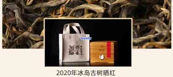 冰岛古树茶是红茶吗-冰岛古树茶是红茶吗还是绿茶