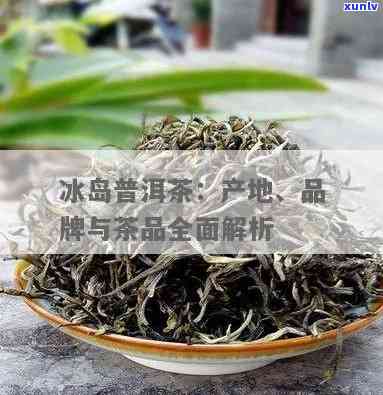 冰岛茶是哪个茶区的产品？它是来自中国的普洱茶产区。