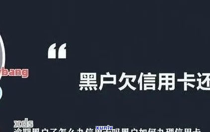 信用卡逾期算是黑户嘛，信用卡逾期是否会导致成为黑户？