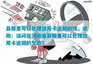 河南人信用卡逾期怎么办，应对信用卡逾期：河南人的解决方案