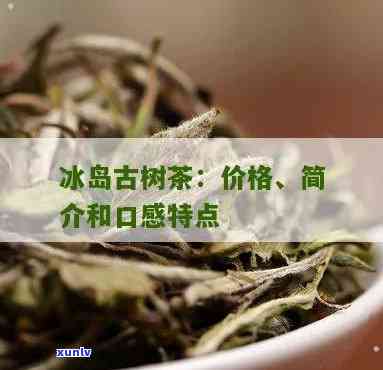 冰岛古树茶的口感特点，探索冰岛古树茶的独特口感魅力