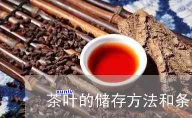 茶叶的存 *** -茶叶的存 *** 是什么