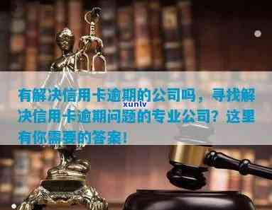 福州信用卡逾期处理公司名单：专业解决您的信用问题