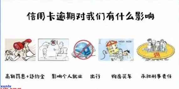 兰州期间信用卡逾期怎么办，之下，兰州地区信用卡逾期问题应对策略