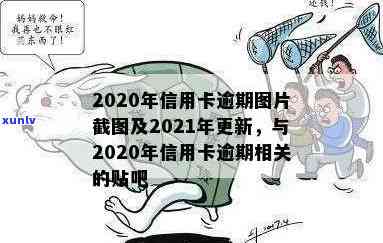 信用卡逾期传片图片大全：高清、截图、2020/2021年全收录