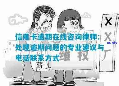 咨询免费信用卡逾期，免费法律咨询服务：处理信用卡逾期问题