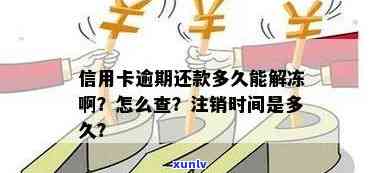 逾期信用卡还款新规：如何计算利息？何时可以再次使用？如何解冻？