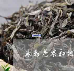 冰岛老寨与地界普洱茶区别，探究冰岛老寨与地界普洱茶的不同之处