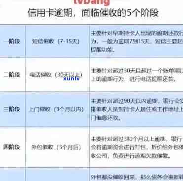 信用卡逾期被实录-信用卡逾期被实录怎么办