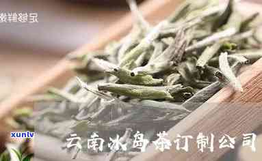 云南的冰岛茶好做吗-云南冰岛茶的介绍