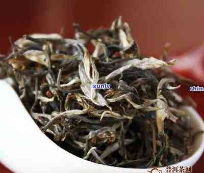 冰岛是大叶茶还是小叶茶，探究冰岛茶的品种：它是大叶茶还是小叶茶？