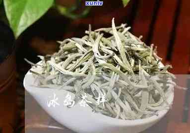 冰岛茶有哪几种品种-冰岛茶有哪几种品种图片