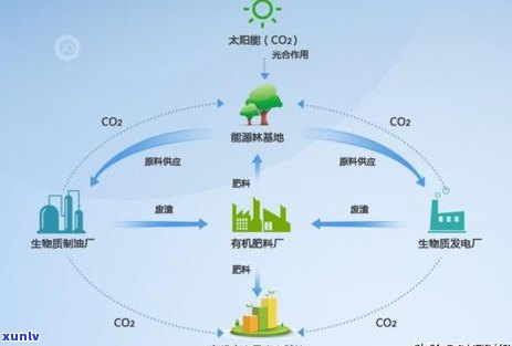 信用卡逾期手机停机了-信用卡逾期手机停机了怎么办