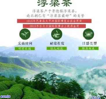 南产茶叶吗，南是否产茶叶？探讨江西的茶文化与历