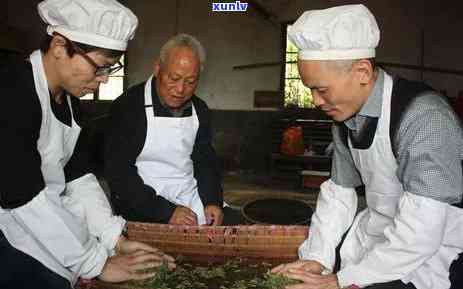 江南茶区主要生产哪些种类的茶？