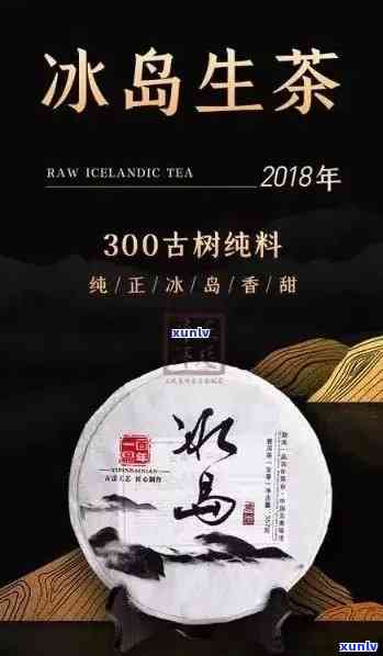 冰岛茶年产量：最新数据与价格走势分析