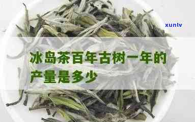 冰岛茶的产量是多少-冰岛茶的产量是多少吨