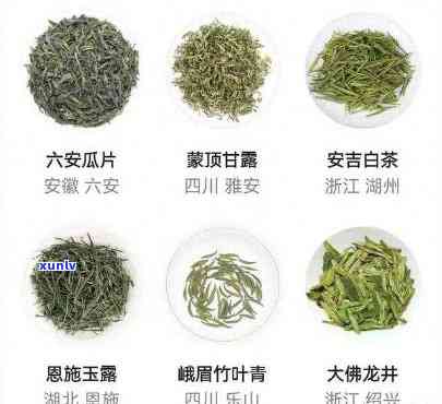 茶叶的种类及图片名称，探索茶叶世界：了解各种茶叶及其精美图片