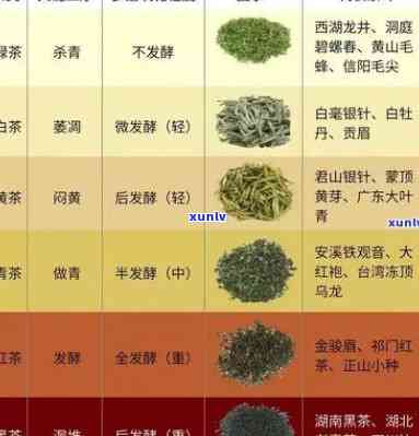 送茶叶给长辈：选择什么类型的茶叶比较好？价格、讲究全解析