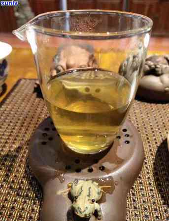 冰岛分几种茶？详解其分类与分布