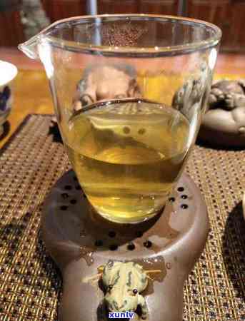 冰岛分几种茶？详解其分类与分布