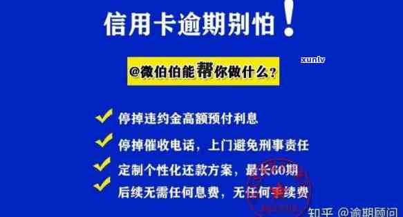 信用卡逾期八千半年了怎么办，信用卡逾期八千半年未还，该如何解决？