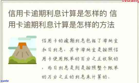 信用卡逾期罚金利息累计怎么算，计算信用卡逾期罚金与利息的累计 *** 