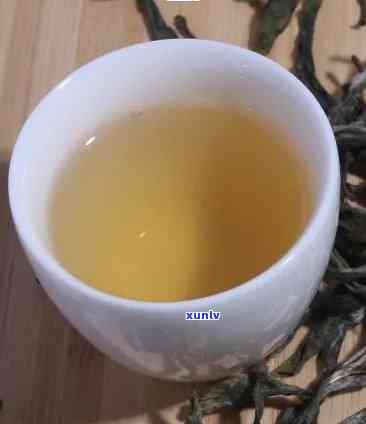 800年树龄冰岛古树生茶深山，探寻千年古韵：800年树龄冰岛古树生茶的深山之旅