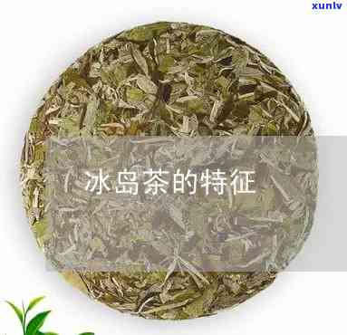 冰岛茶的特点和特征-冰岛茶的特点和特征是什么