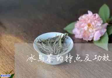 冰岛茶的特点和特征-冰岛茶的特点和特征是什么