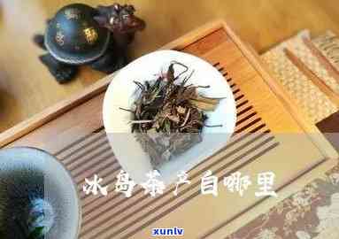 冰岛茶是怎么形成的-冰岛茶来源