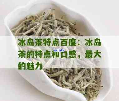 冰岛是什么茶,冰岛茶的特点，揭秘冰岛茶：一种独特的茶叶及其特点