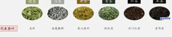 全面解析：茶叶产品的优势、劣势及其优劣势分析