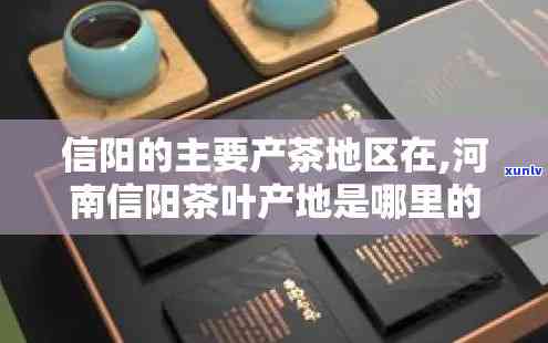 河南信阳产什么茶，探寻河南信阳的茶叶文化：你不可错过的特产